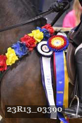 23R13_03390 thumbnail