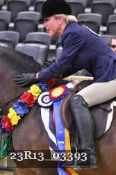 23R13_03393 thumbnail