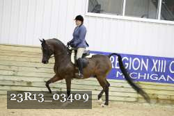 23R13_03409 thumbnail