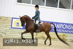 23R13_03418 thumbnail
