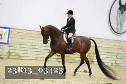 23R13_03423 thumbnail