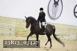 23R13_03427 thumbnail