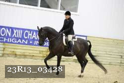 23R13_03428 thumbnail