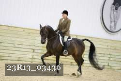 23R13_03436 thumbnail