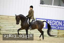 23R13_03438 thumbnail