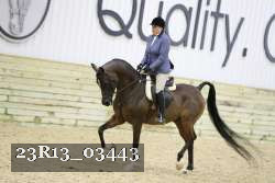 23R13_03443 thumbnail