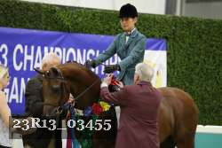 23R13_03455 thumbnail
