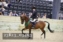 23R13_03463 thumbnail