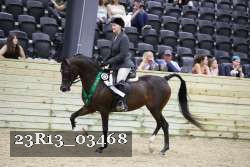 23R13_03468 thumbnail