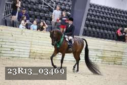 23R13_03469 thumbnail