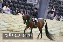 23R13_03470 thumbnail