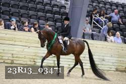 23R13_03471 thumbnail