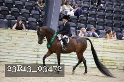 23R13_03472 thumbnail