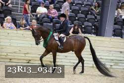 23R13_03473 thumbnail