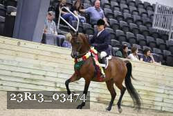 23R13_03474 thumbnail