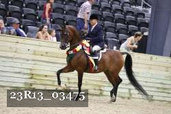 23R13_03475 thumbnail