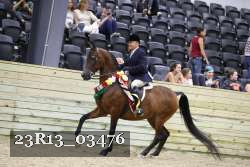 23R13_03476 thumbnail