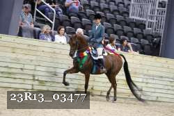 23R13_03477 thumbnail