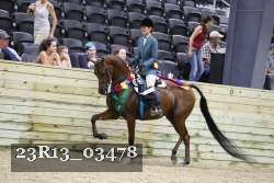 23R13_03478 thumbnail