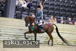 23R13_03479 thumbnail