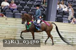 23R13_03480 thumbnail