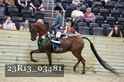 23R13_03481 thumbnail