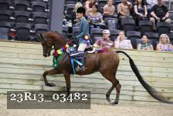 23R13_03482 thumbnail