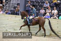 23R13_03483 thumbnail