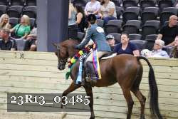 23R13_03485 thumbnail