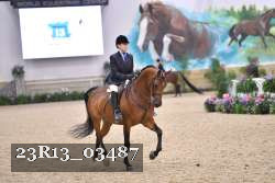 23R13_03487 thumbnail