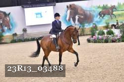 23R13_03488 thumbnail