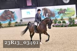 23R13_03491 thumbnail