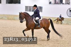 23R13_03492 thumbnail