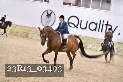 23R13_03493 thumbnail