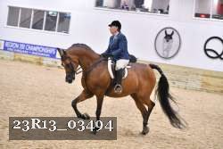 23R13_03494 thumbnail
