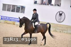 23R13_03496 thumbnail