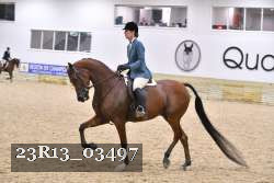 23R13_03497 thumbnail