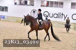 23R13_03499 thumbnail