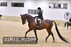 23R13_03500 thumbnail