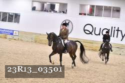23R13_03501 thumbnail