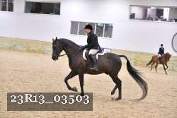 23R13_03503 thumbnail