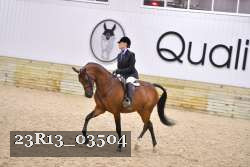 23R13_03504 thumbnail