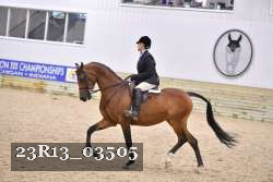 23R13_03505 thumbnail