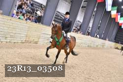 23R13_03508 thumbnail