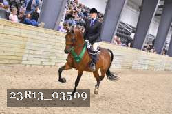 23R13_03509 thumbnail