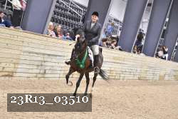 23R13_03510 thumbnail