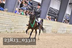23R13_03511 thumbnail