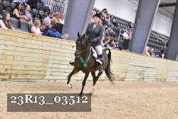 23R13_03512 thumbnail