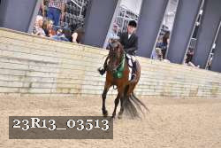23R13_03513 thumbnail
