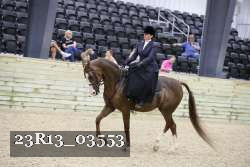 23R13_03553 thumbnail